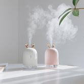 Portable USB Charging Mini Humidifier